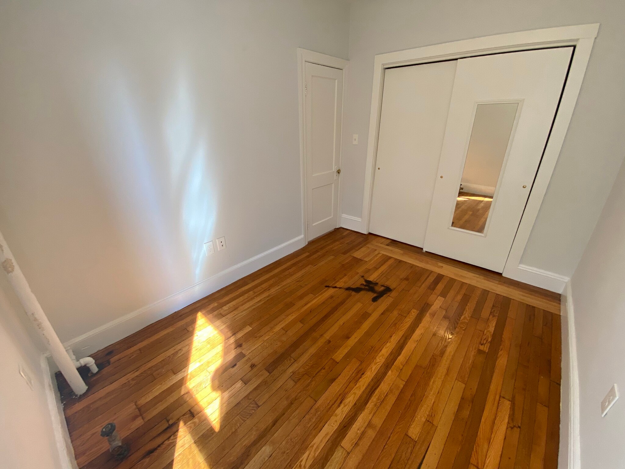 Building Photo - 29 Worthington St