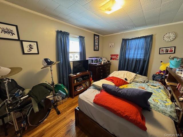 Building Photo - 223 Hudson St