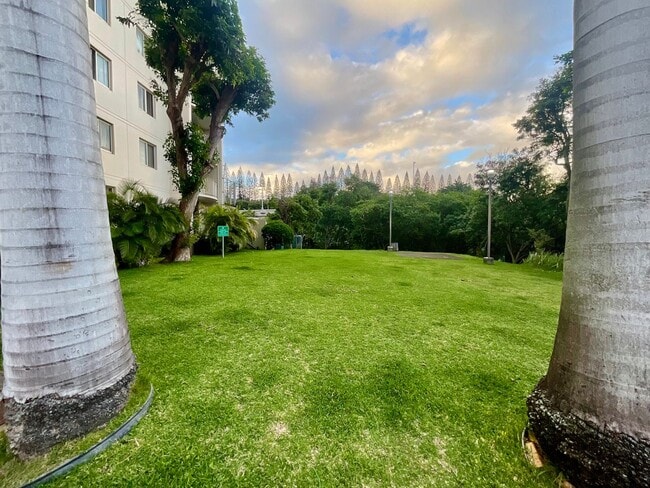 Building Photo - Beautiful 1/1/1 with Sunset Views