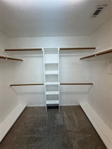 Building Photo - 3117 Foxhollow Dr