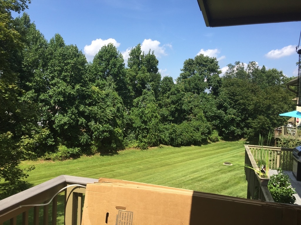 View from deck, looking east. - 443 Lynetree Dr