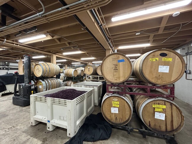 Building Photo - Welcome to Lafayette Penthouse Living!