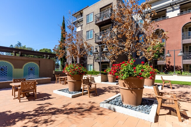 Courtyard - 1st and Rosemary Senior Apartments