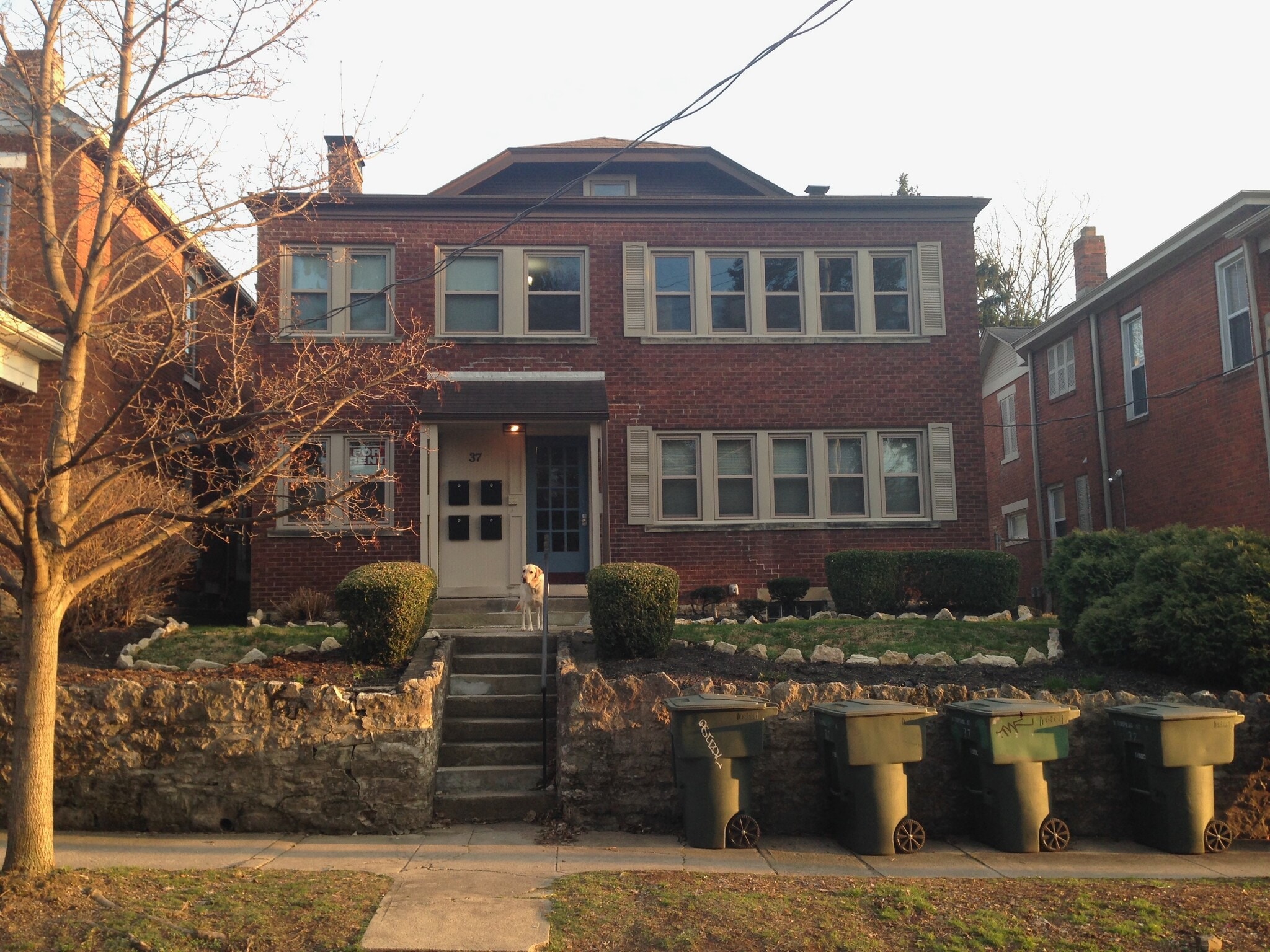 Building Photo - 37 W Tompkins St