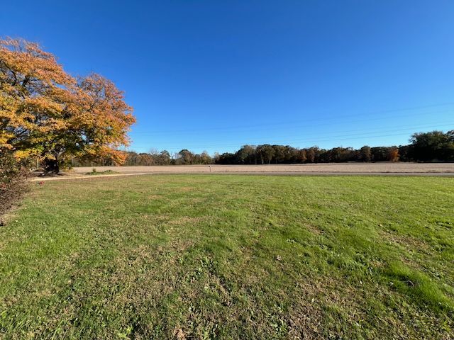 Building Photo - 1028 Pinckardsville Rd