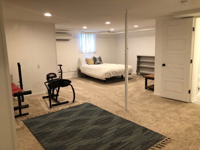 Finished Basement/ Bonus Room - 315 Yeardley Ave