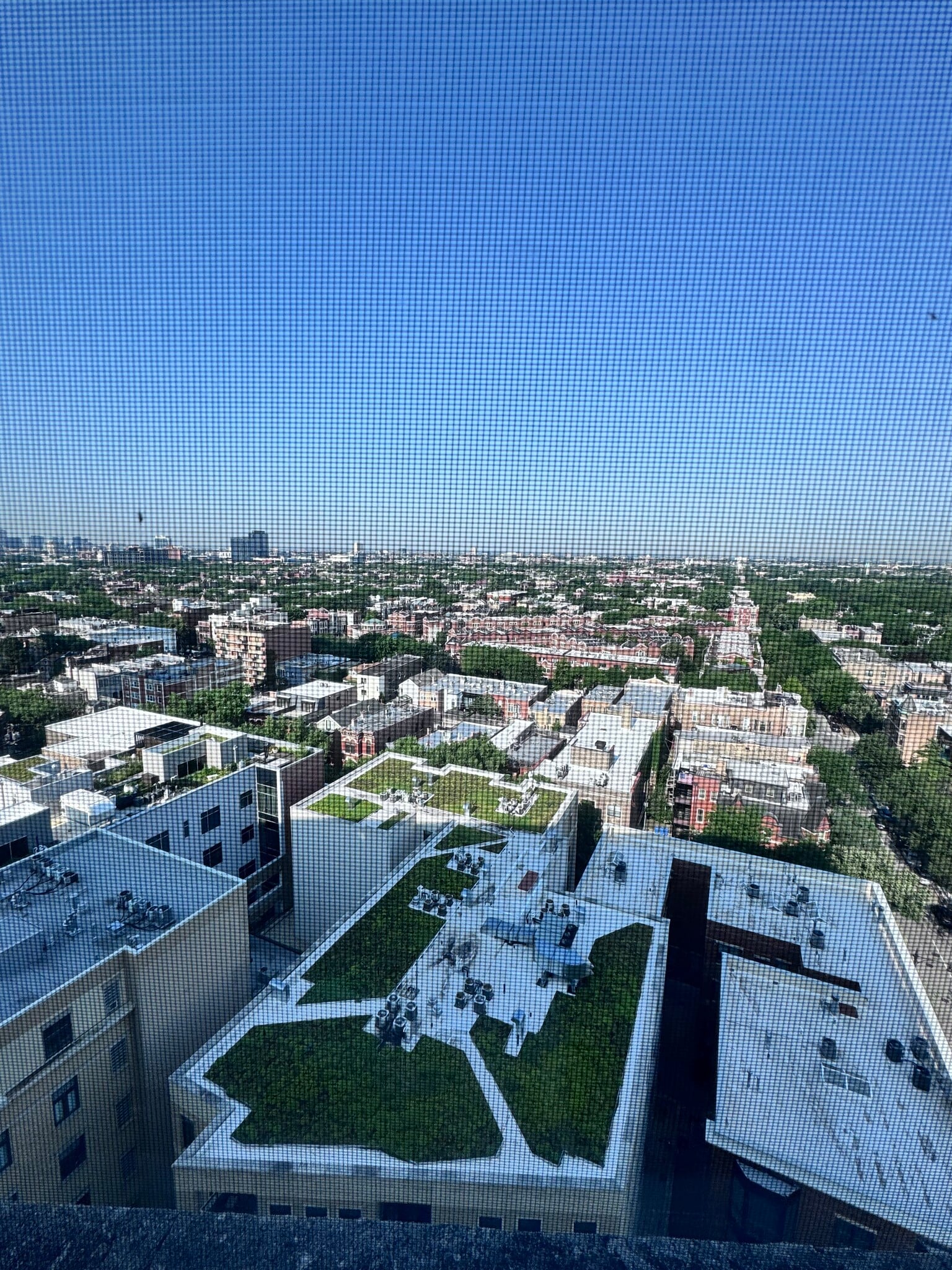 View From Unit - 2000 N Lincoln Park W