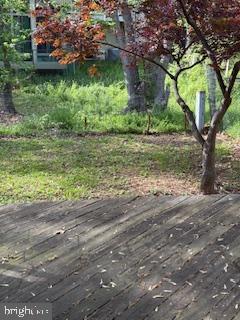 Building Photo - 1807 Lowland Way