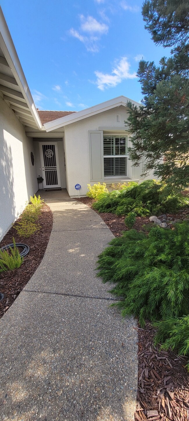 Primary Photo - 2009 Blackbird Ln