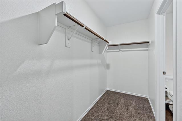 Building Photo - 410 Goliad St