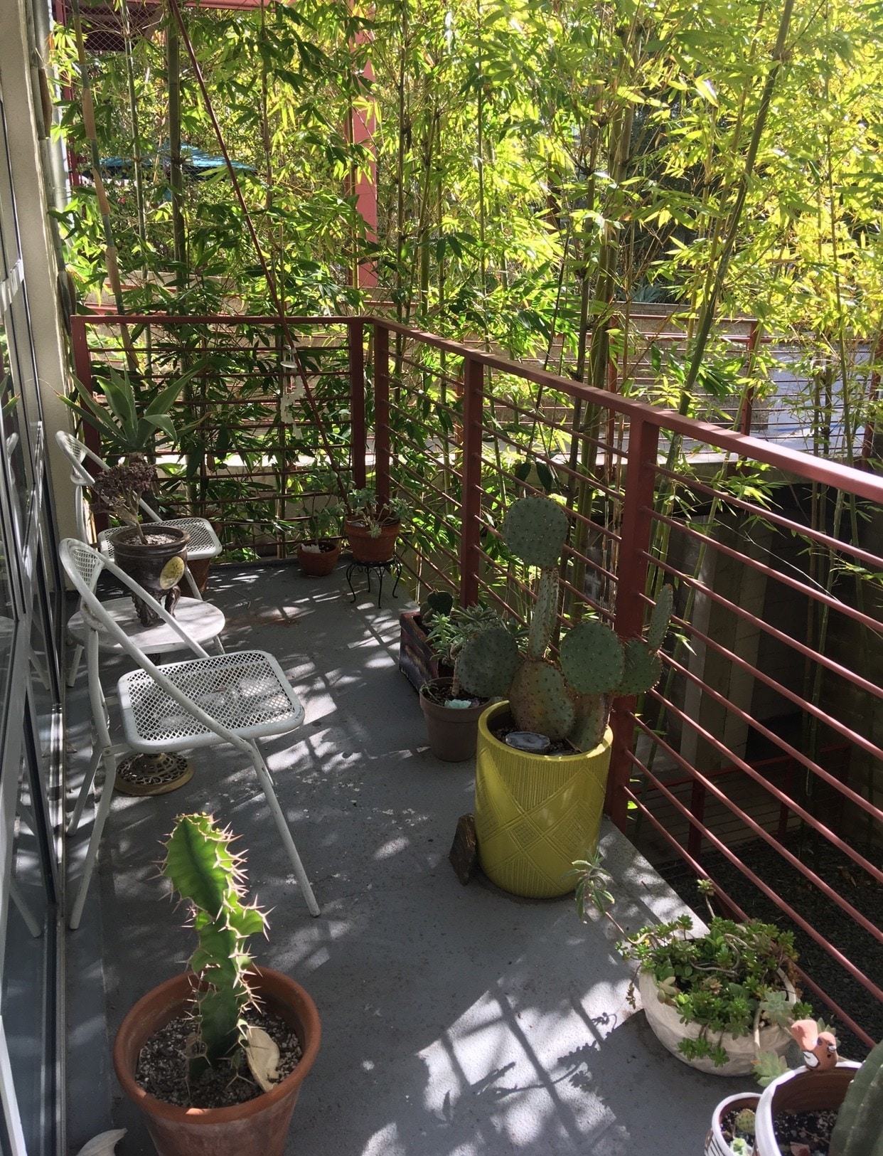 private balcony overlooking bamboo garden - 1010 Sycamore Ave