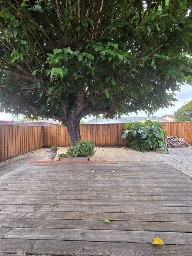 Building Photo - 3 bedroom 2 bath East Petaluma