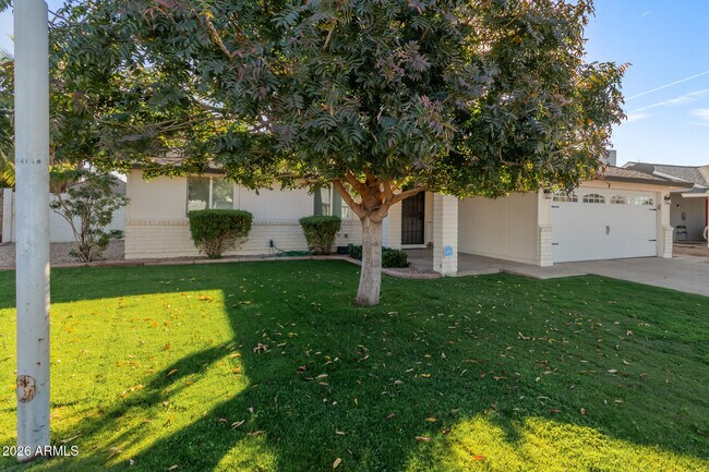 Building Photo - 2003 N Los Arboles Ct