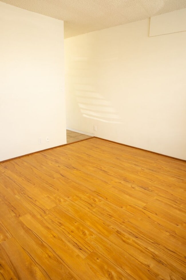 Building Photo - 2 BR/ 1 Bath Low- rise Apartment