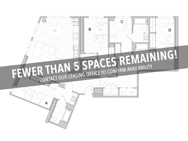 D13 - Fewer Than 5 Spaces Remaining! - Identity Davis Student Apartments