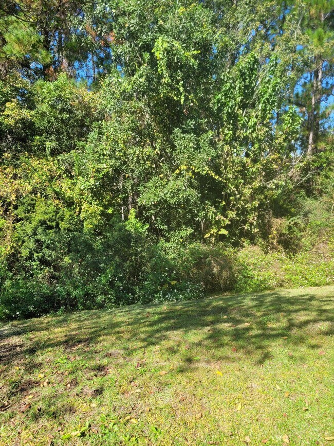 Building Photo - 537 Wingspan Way