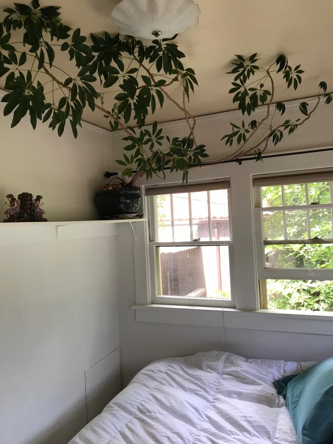 Building Photo - One Bedroom In 4-Plex Close To Chautauqua ...