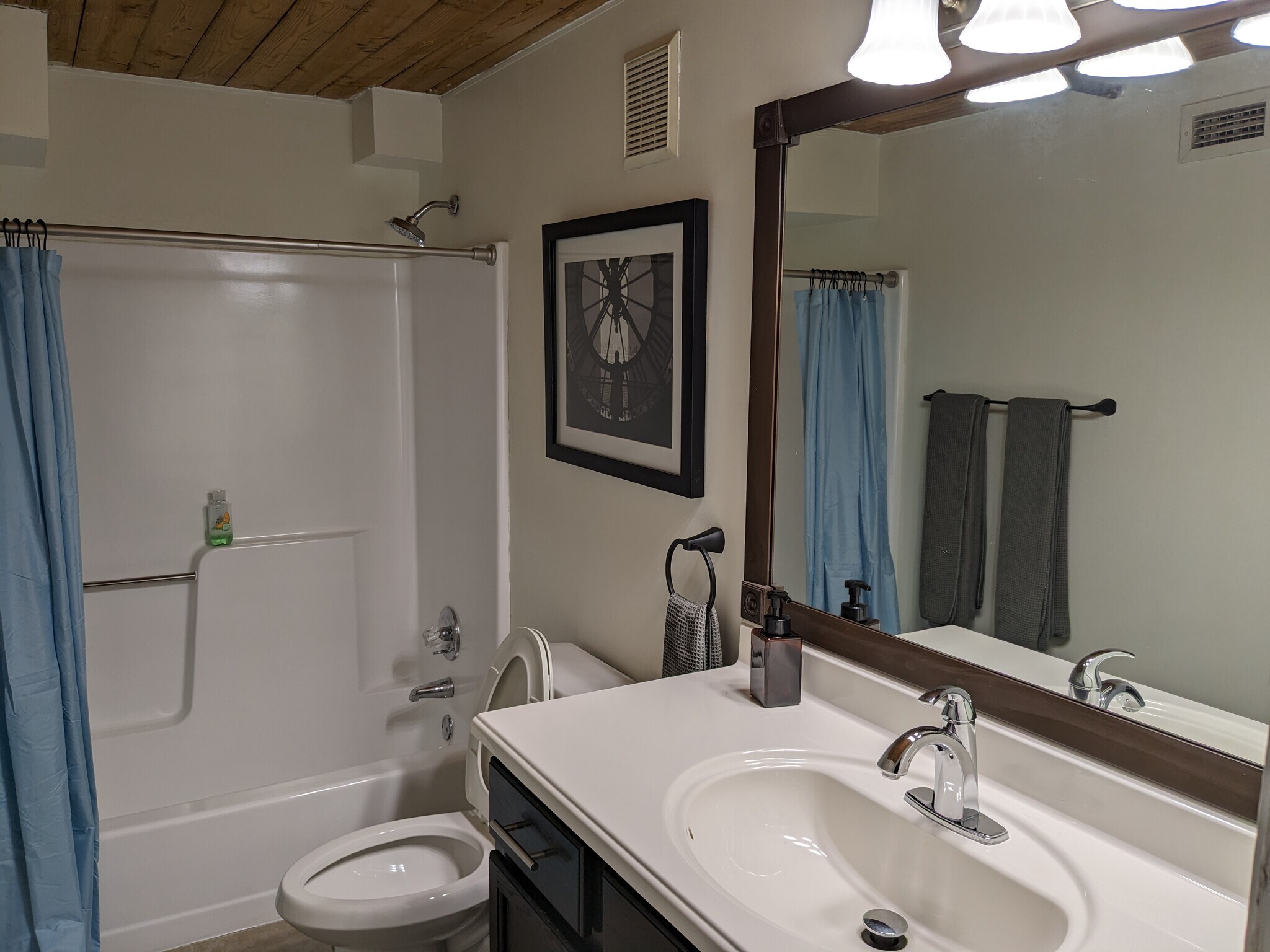 guest bath - 201 S Hoskins Rd