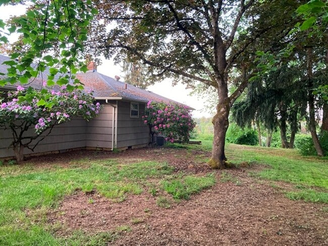 Building Photo - 3Bd/2Ba Single Story House - Available to View!
