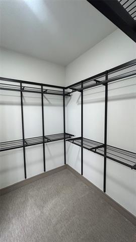 Building Photo - 11233 American Elm Wy