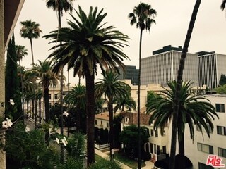 Building Photo - 137 S Palm Dr