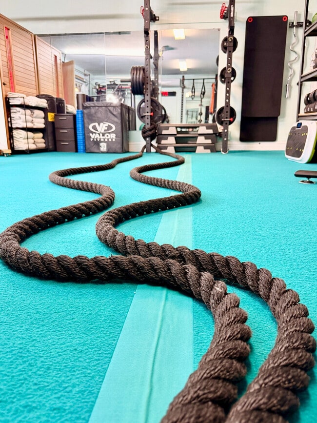 Building Photo - 509 S Willow Ave