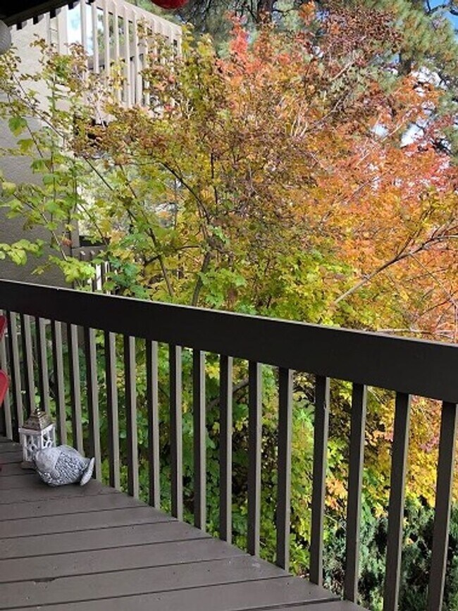 Building Photo - COMING IN JULY! 1-Bedroom Condo in Country...