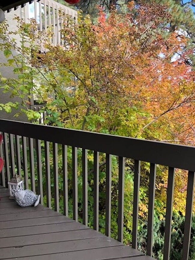 Building Photo - Country Club Living – 1-Bed Condo with Bal...
