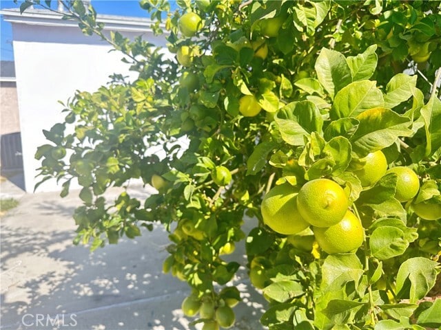 Building Photo - 1127 E Larkwood St