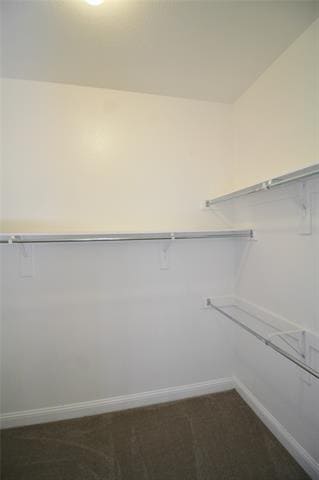 Building Photo - 505 Clemson Ln