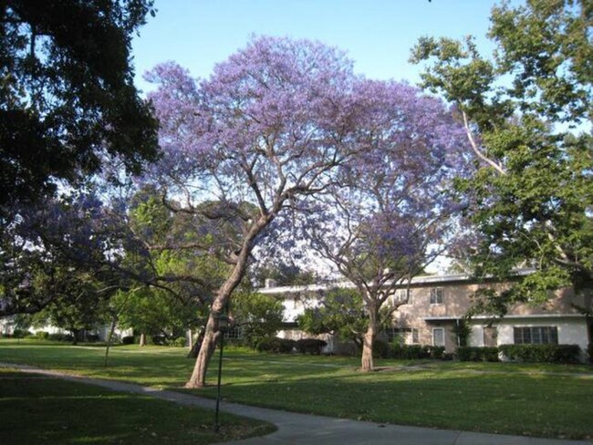 Outdoors in Village Green - 5394 Village Grn