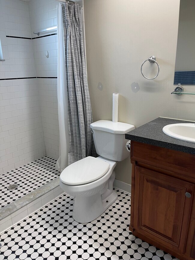 Master bath with shower - 6149 Staunton Dr