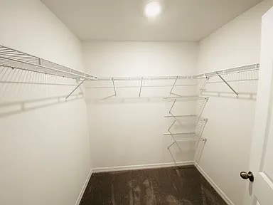 Building Photo - 4542 Globe Thistle Dr