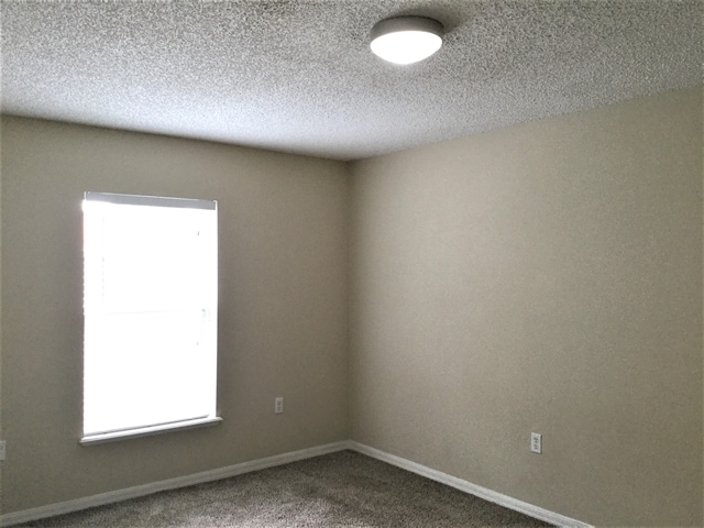 Building Photo - 2063 Corner Meadow Cir