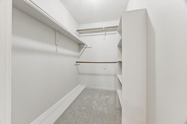 Building Photo - 5933 Woodway Place Ct