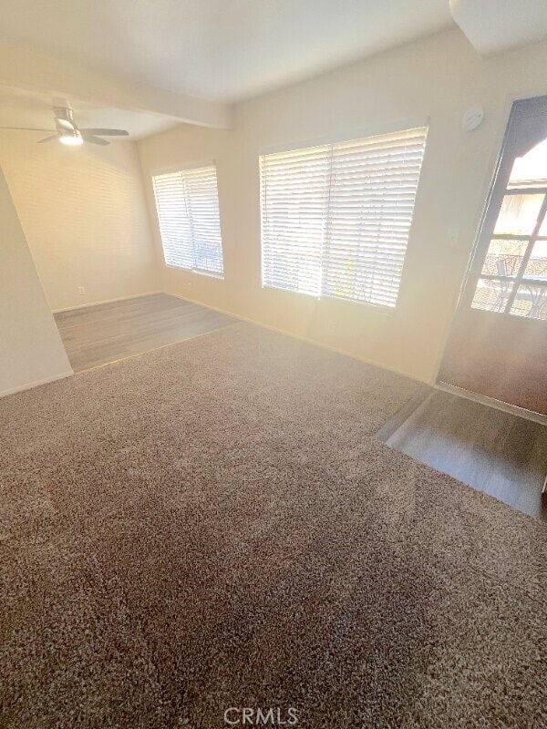 Building Photo - 2115 Placentia Ave