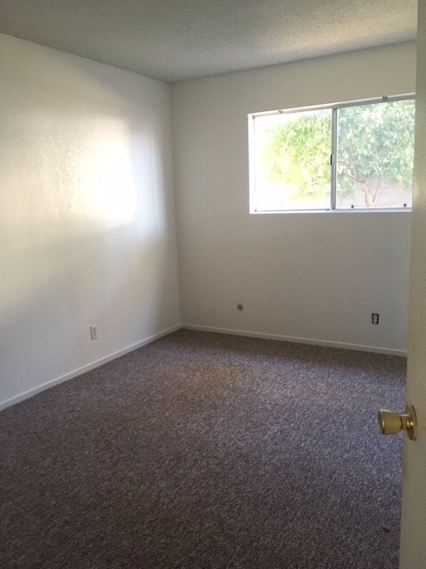 Building Photo - Nice Clean Condo in Brisco Heights