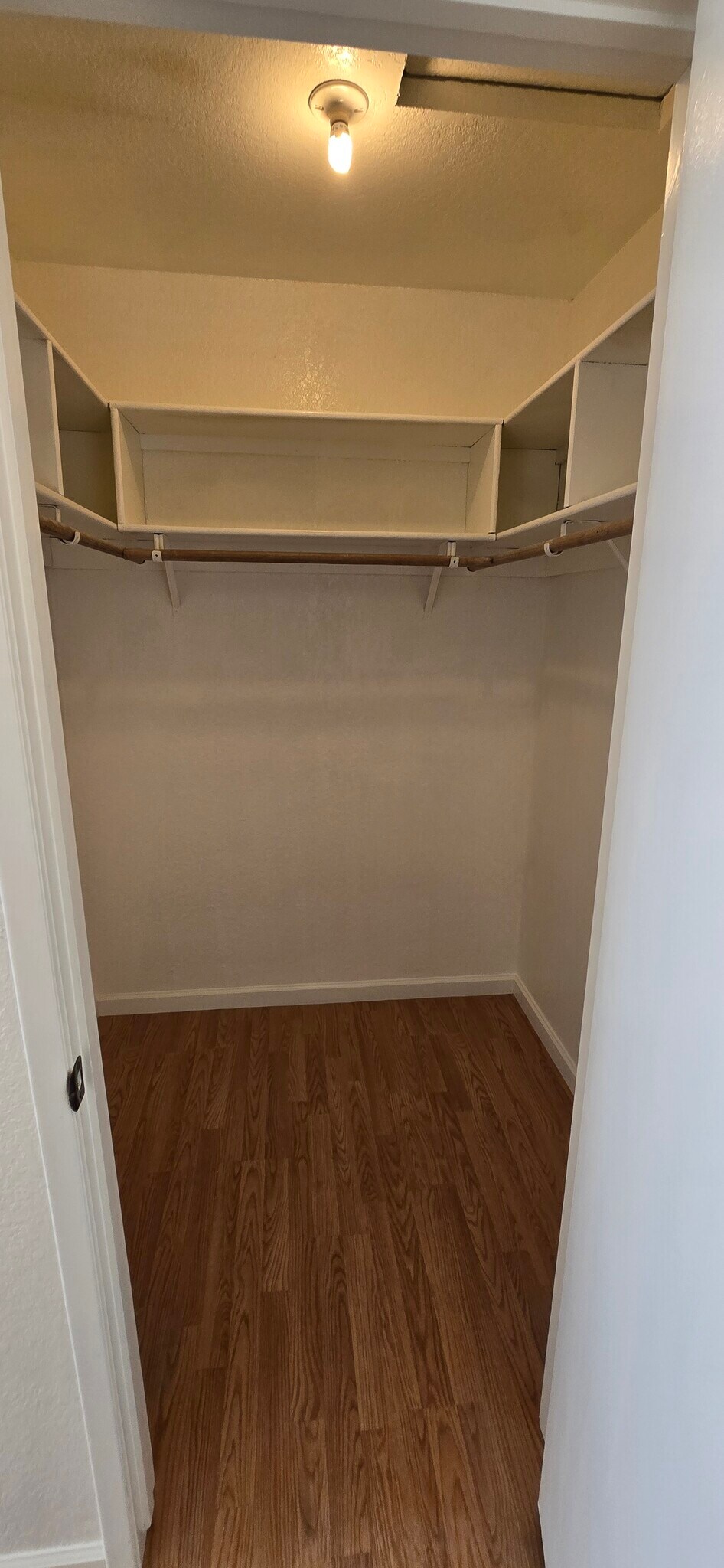 Primary Bedroom Walk-in Closet - 3314 Blue Ridge Cir