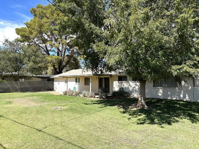 Building Photo - Great classic central Phoenix ranch style ...