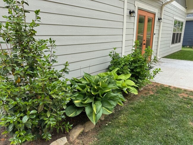 Building Photo - Black Mountain - Gardeners Delight!!