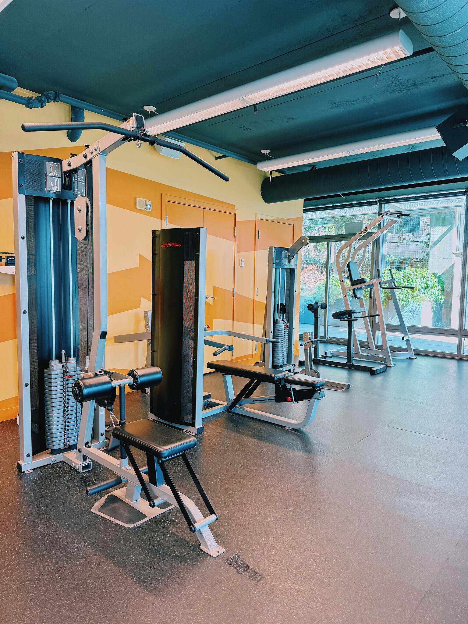 Gym - 2033 2nd Ave