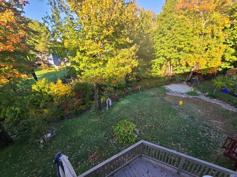 back yard - 55 Newport Ave