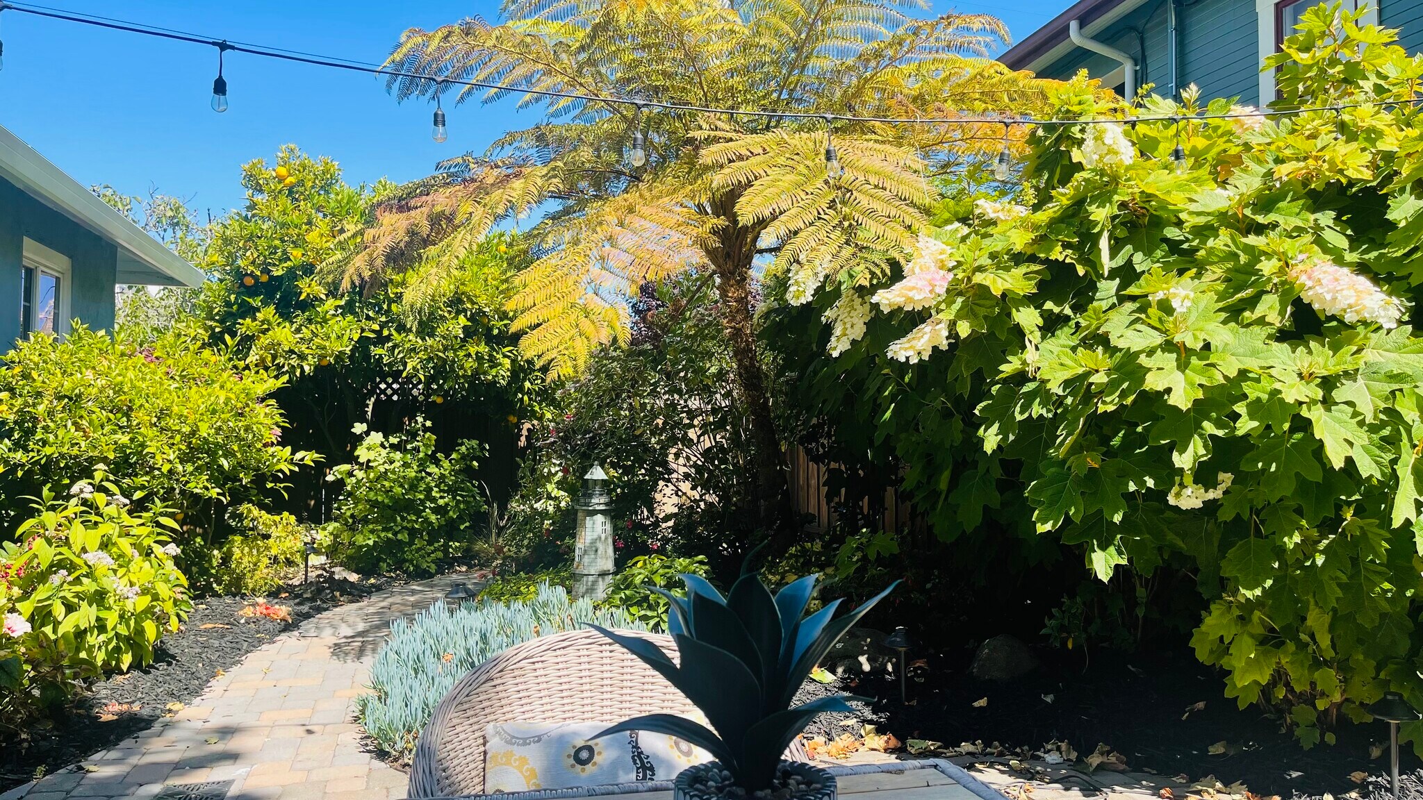 Building Photo - 713 Lighthouse Ave