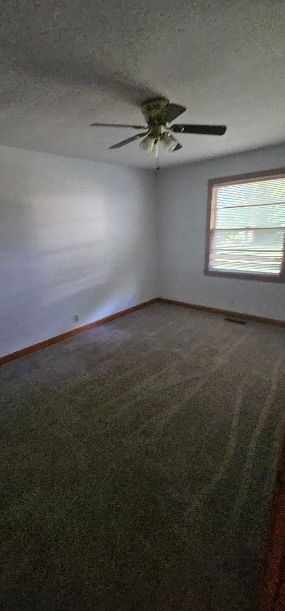 Building Photo - 203 Nokes Dr