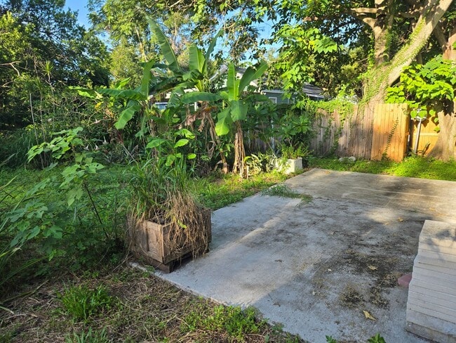 Building Photo - 2 BEDROOM 1 BATH NEAR USF