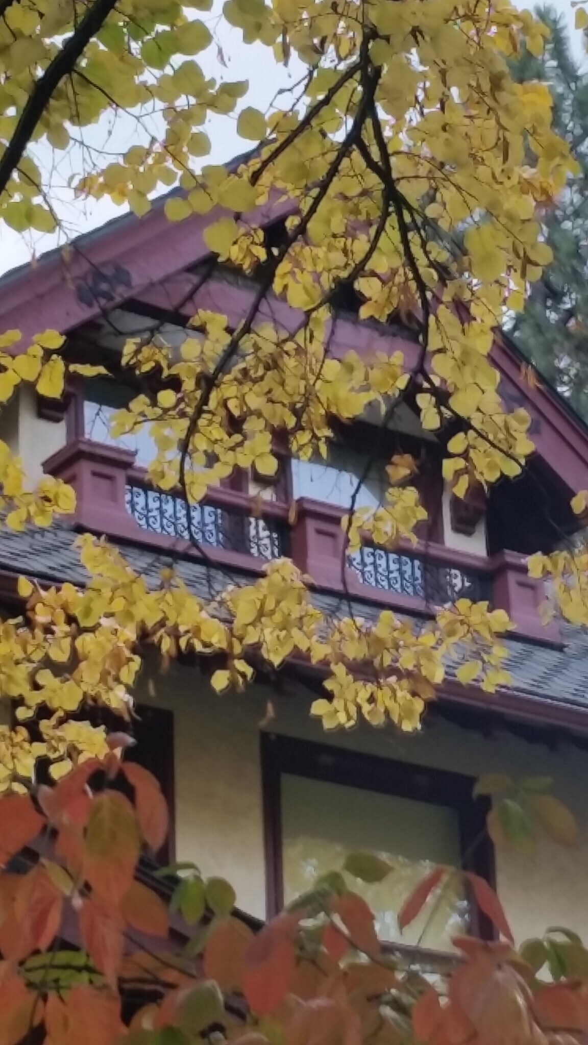 Building Photo - 1405 W 9th Ave