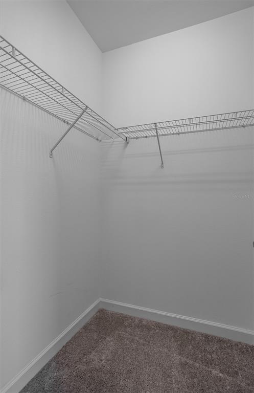 Building Photo - 11715 Navajo Sandstone St