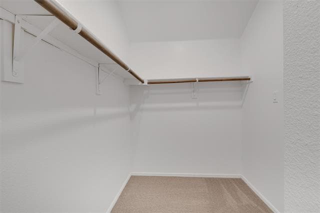 Building Photo - 713 Gin Lake Trl