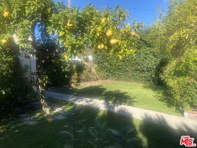 Building Photo - 125 N Palm Dr