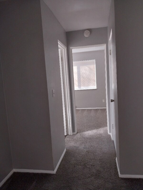 Building Photo - 3810 Boudinot Ave